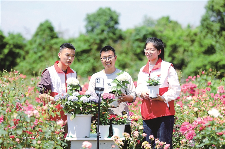 悟规律 明方向 学方法 增智慧丨树立和践行正确政绩观⑨把干净和担当、勤政和廉政统一起来
